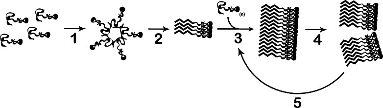 Fig. 1