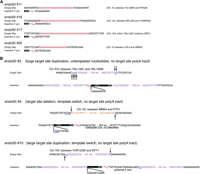 Figure 4.—