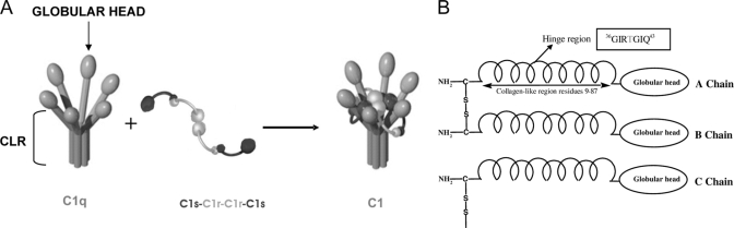 Fig. 1.