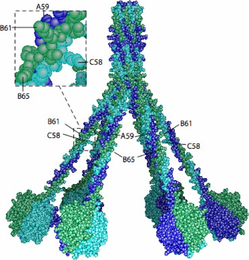 Fig. 10.