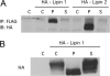 Fig. 9.
