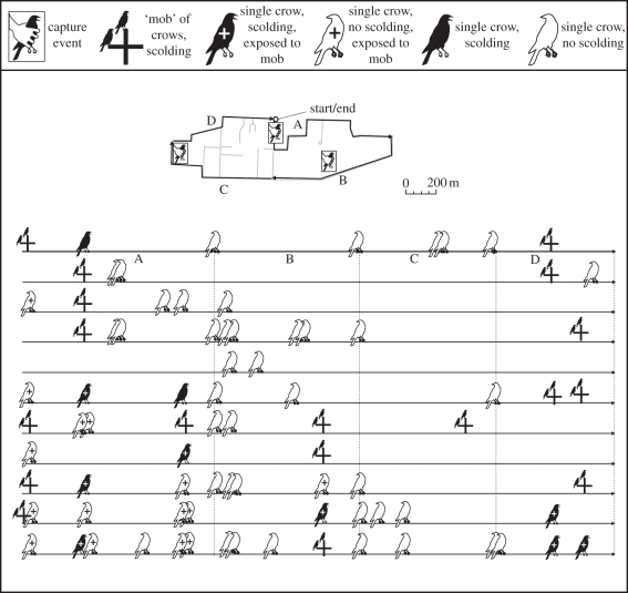 Figure 1.