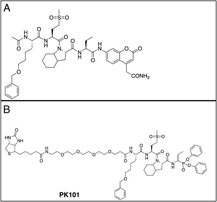 Fig. 3.