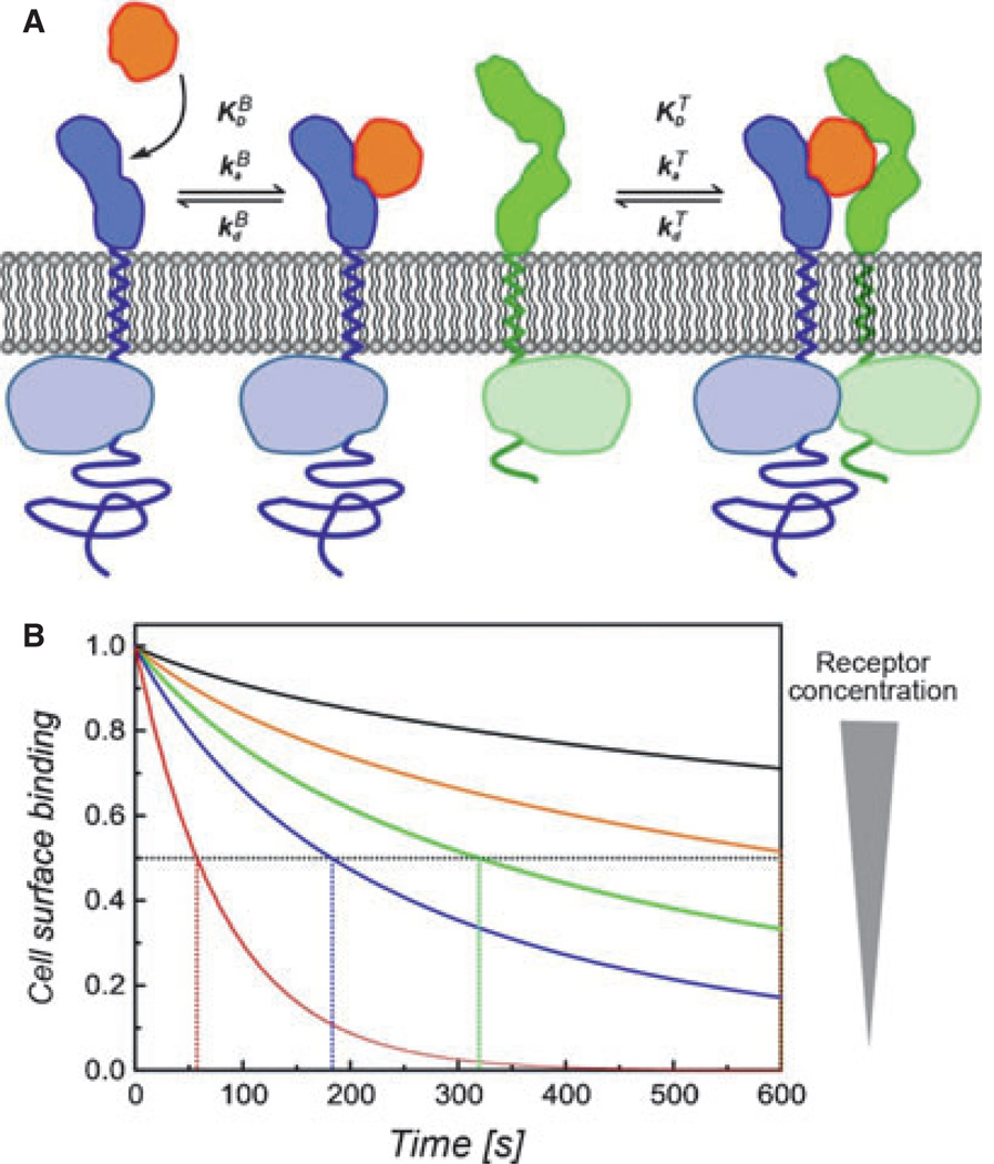 Fig. 10