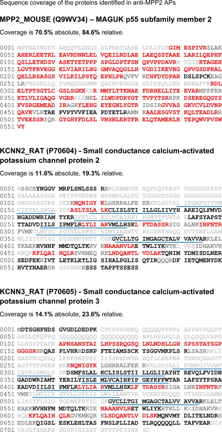 Figure 1—figure supplement 1.