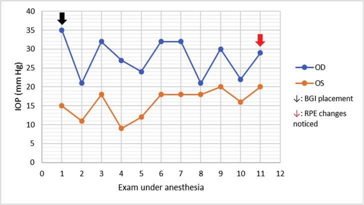 Fig. 7