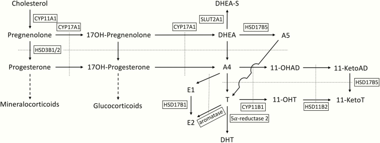 Figure 2.