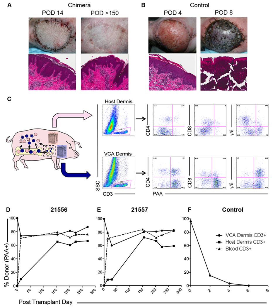 Figure 2: