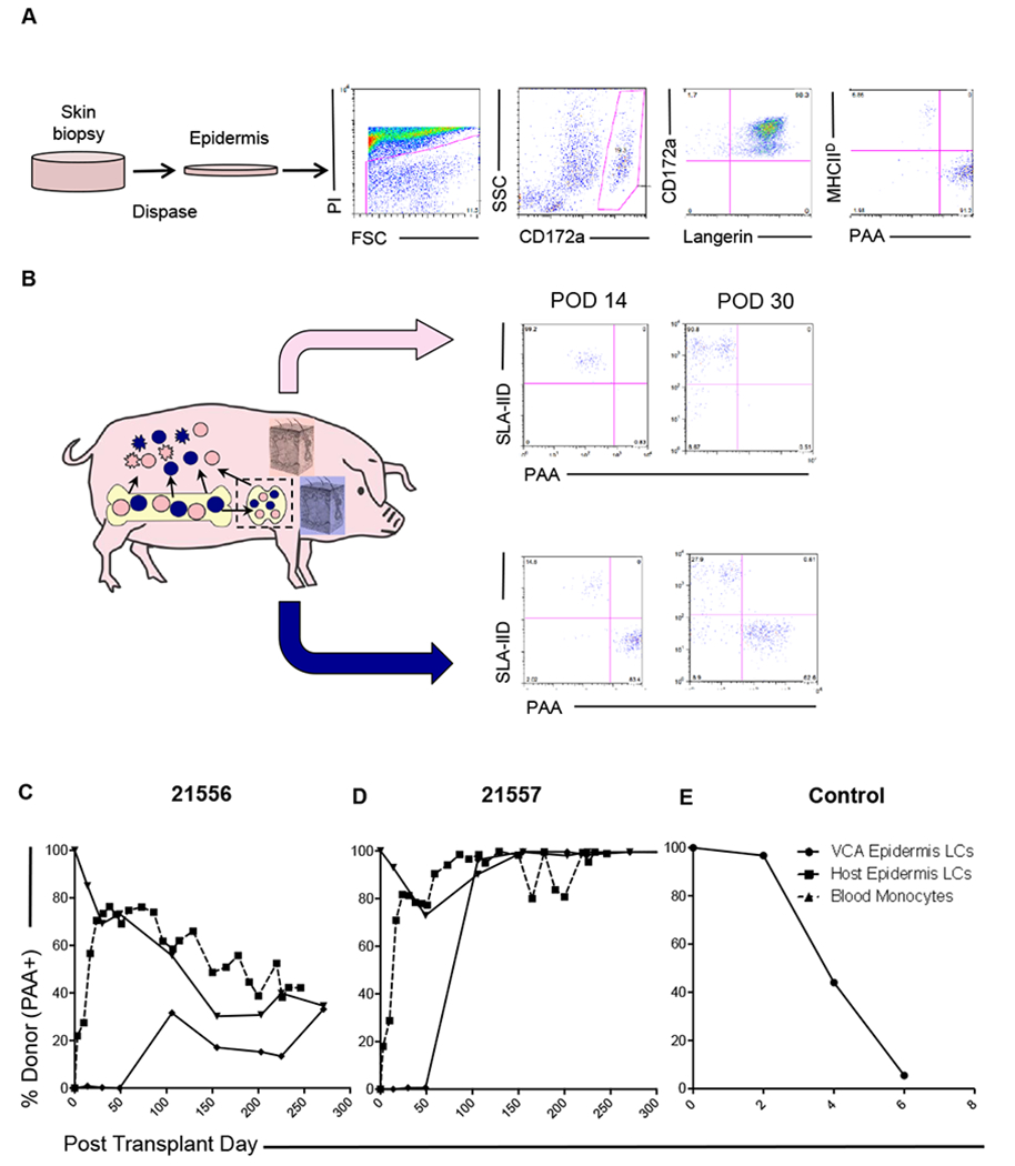 Figure 4: