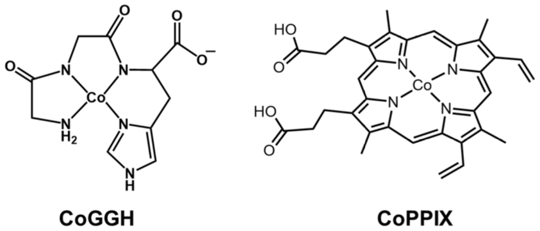 Fig. 11.