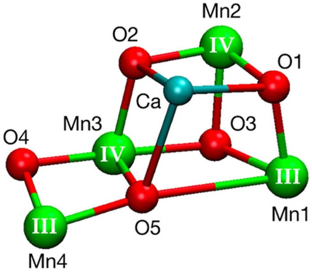 Fig. 12.