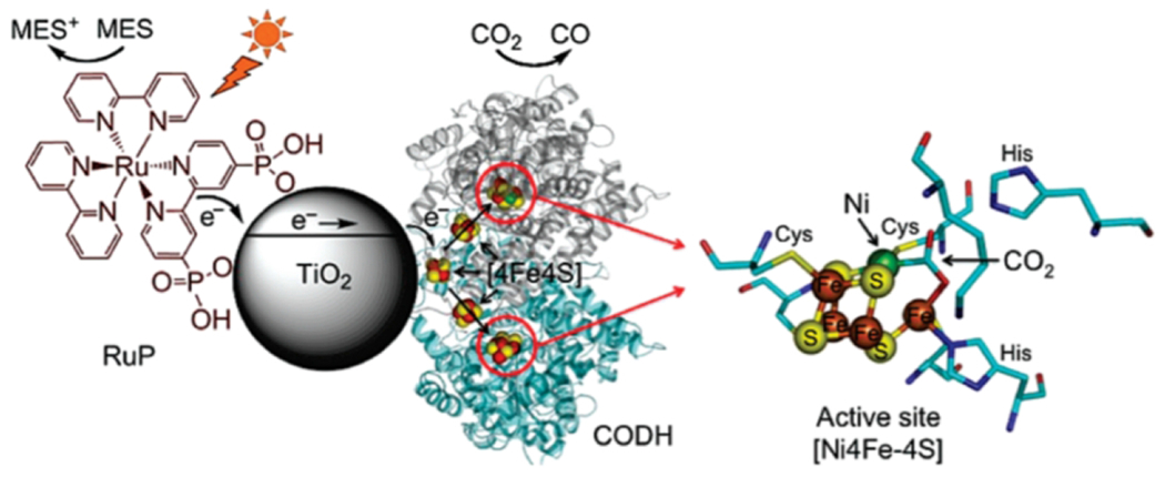 Fig. 14.