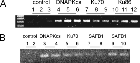 FIGURE 7.