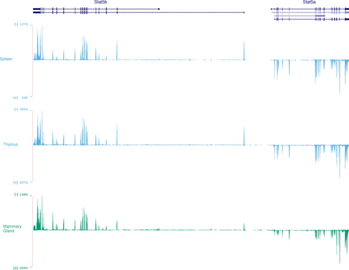 Figure 9—figure supplement 2.