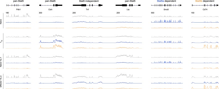 Figure 6—figure supplement 2.