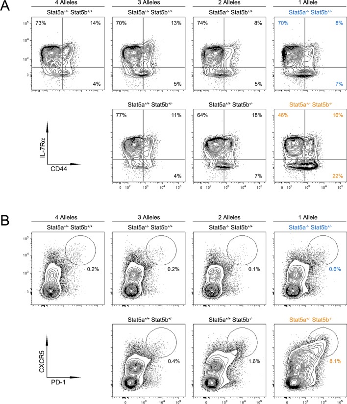 Figure 3—figure supplement 1.