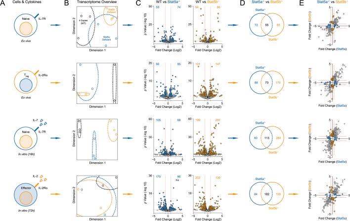 Figure 6—figure supplement 1.