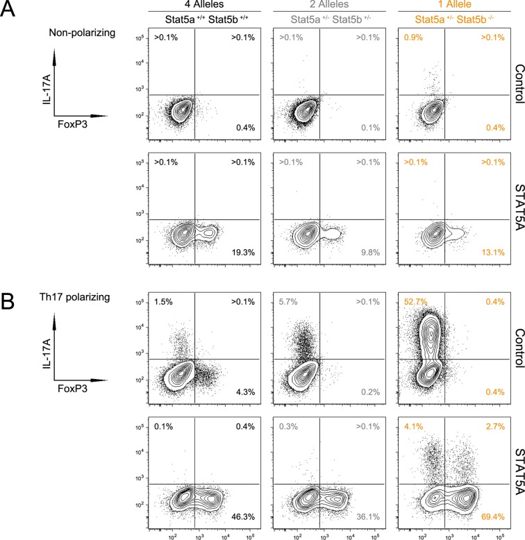 Figure 10—figure supplement 1.