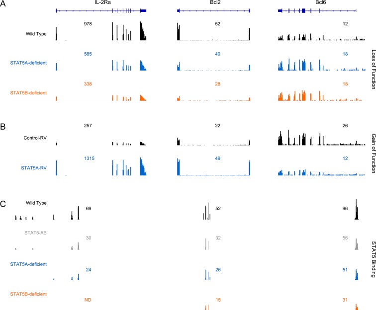 Figure 7—figure supplement 2.