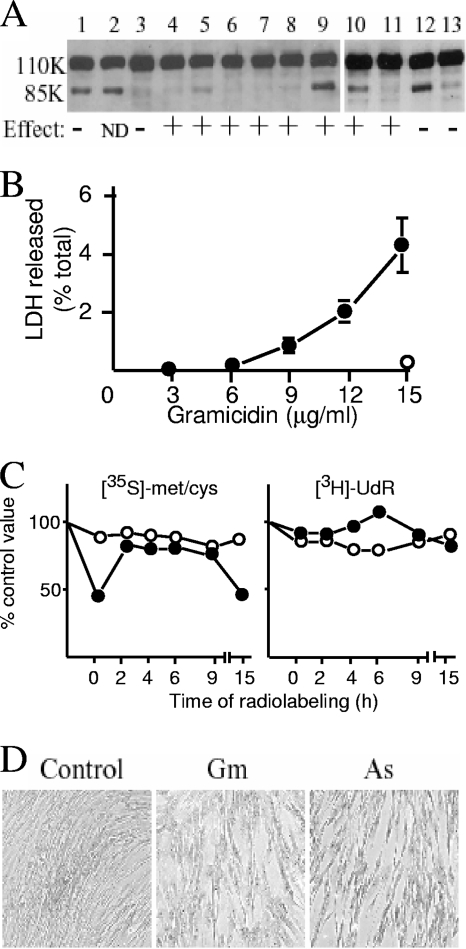 FIG. 7.