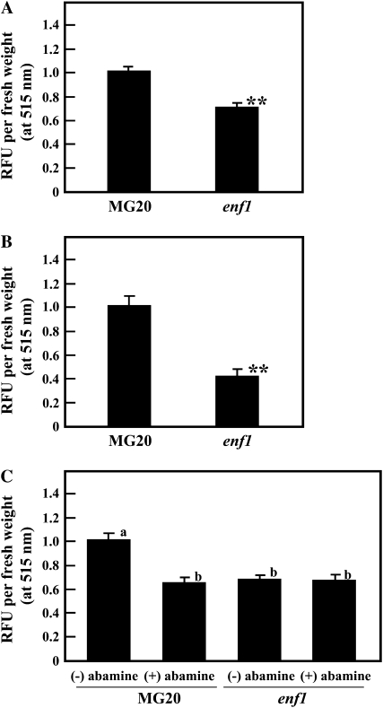 Figure 9.