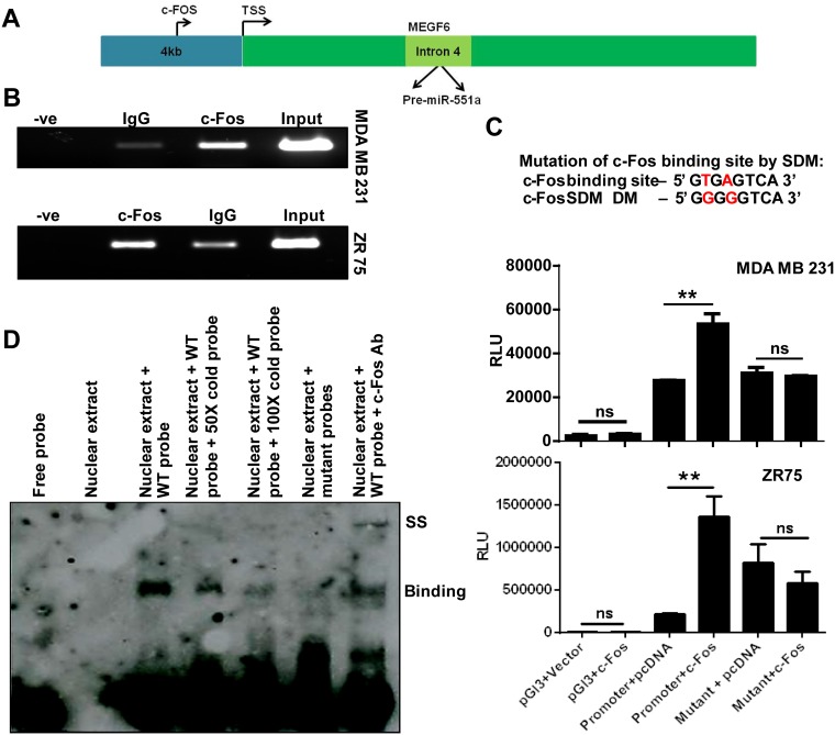 FIG 6