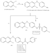 Scheme 17
