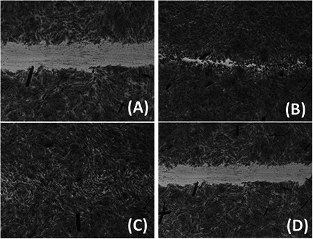 Fig. 10