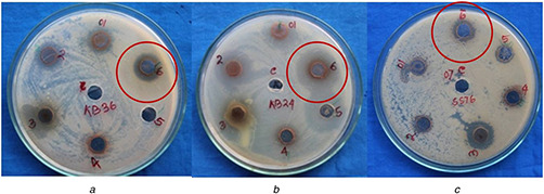 Fig. 9