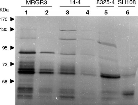 FIG. 5.