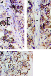 FIG. 6.