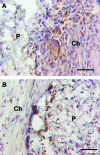 FIG. 7.