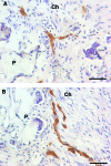 FIG. 9.