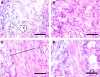 FIG. 3.