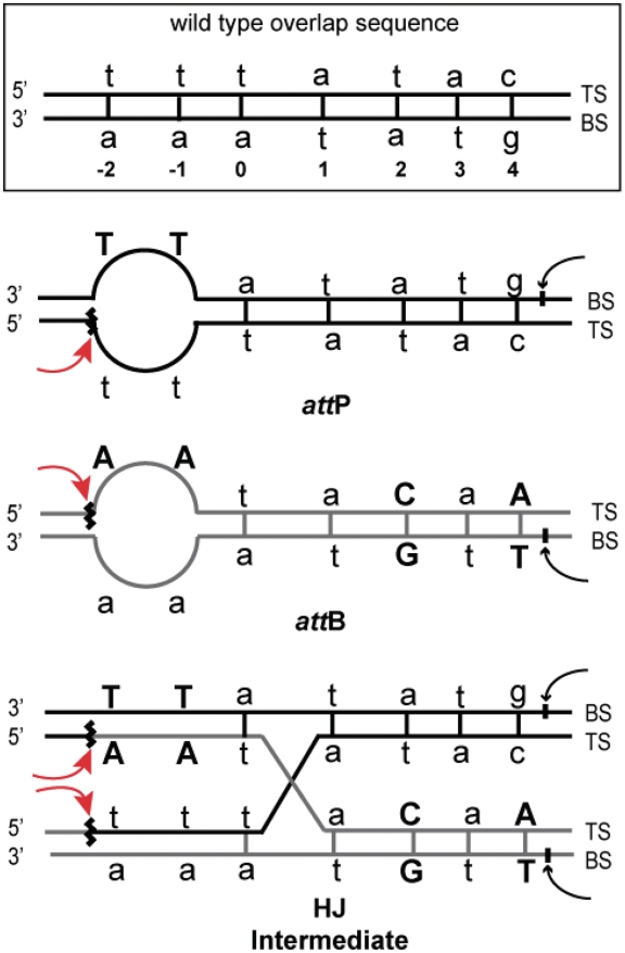 Figure 4.
