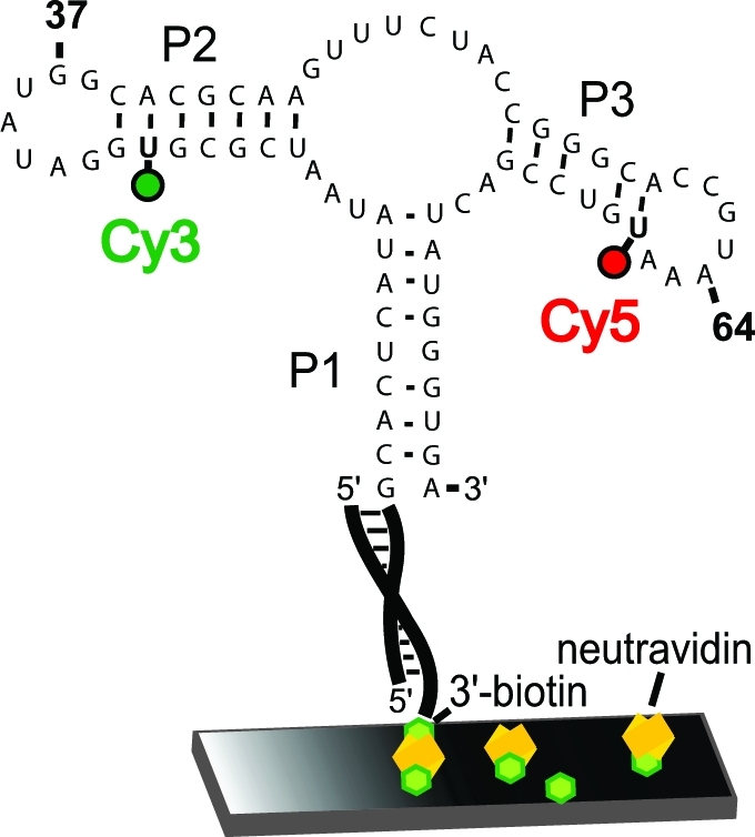 Figure 4A