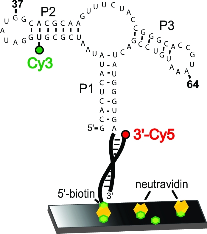 Figure 2A