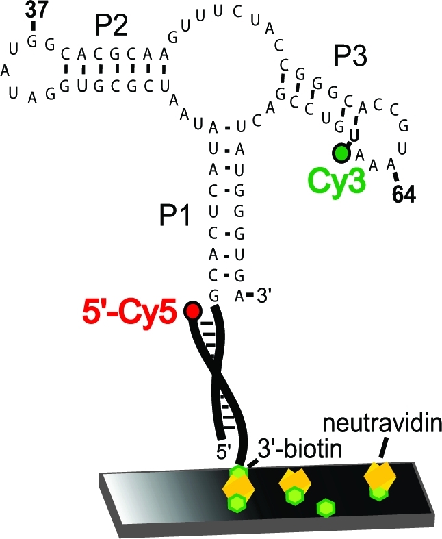 Figure 3A