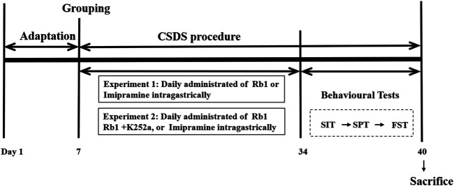 FIGURE 1