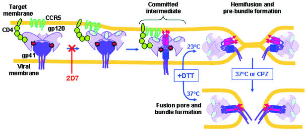 FIG. 6.