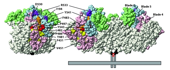 Figure 7