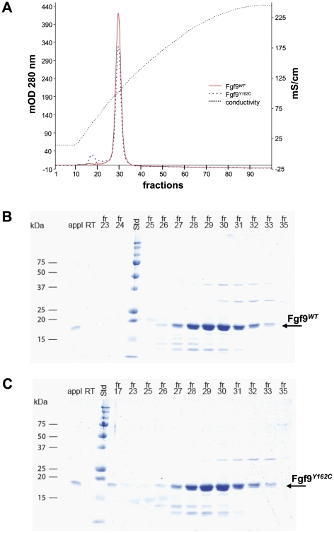 Figure 13