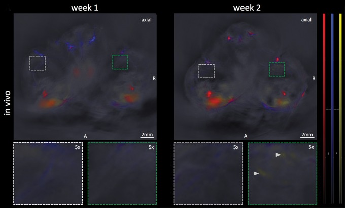 Figure 3a: