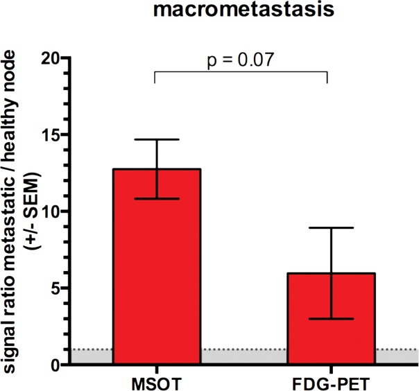 Figure 2b: