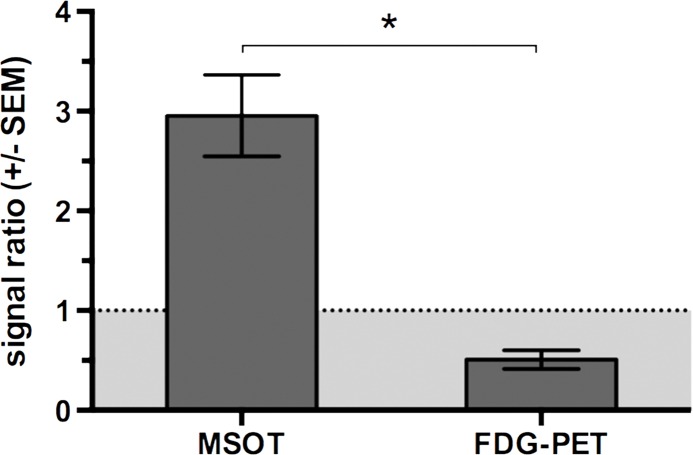 Figure 5b: