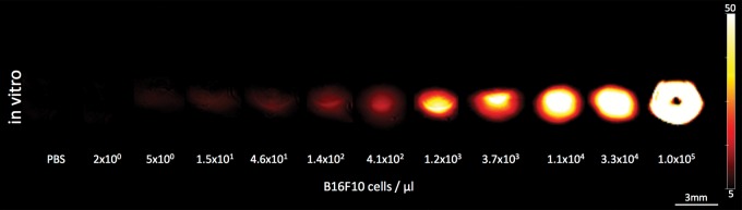 Figure 3c: