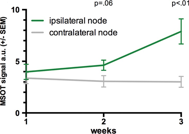 Figure 3b: