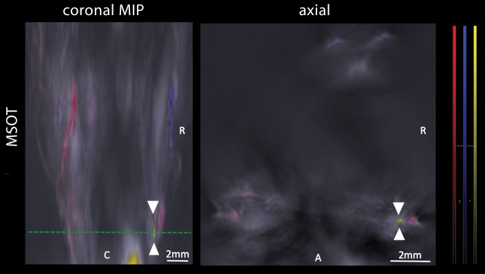 Figure 4a: