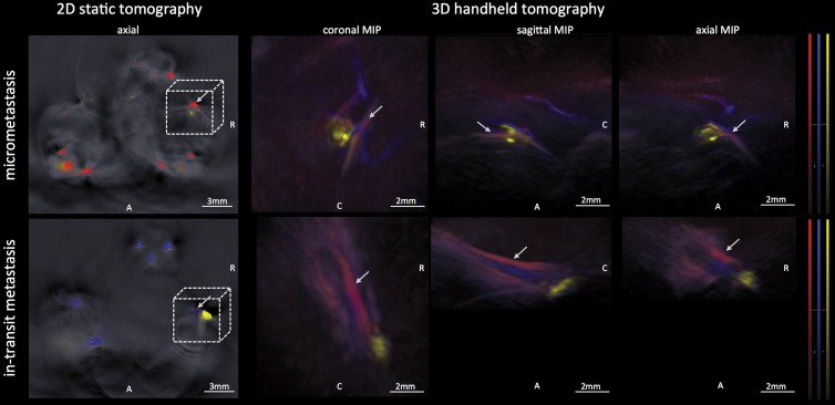 Figure 6: