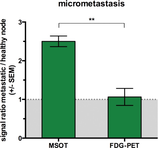 Figure 2d: